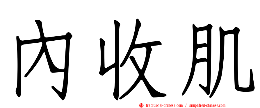 內收肌