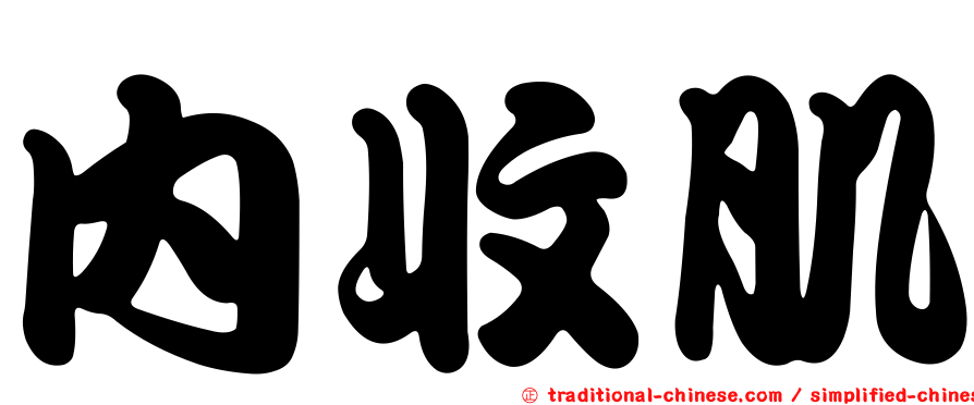 內收肌