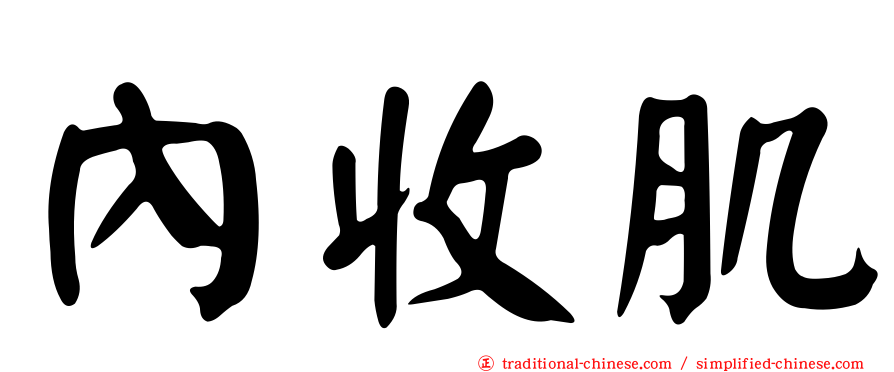 內收肌