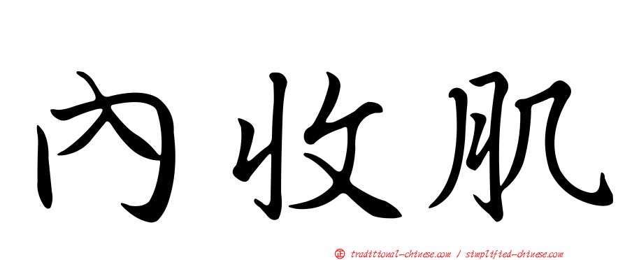 內收肌