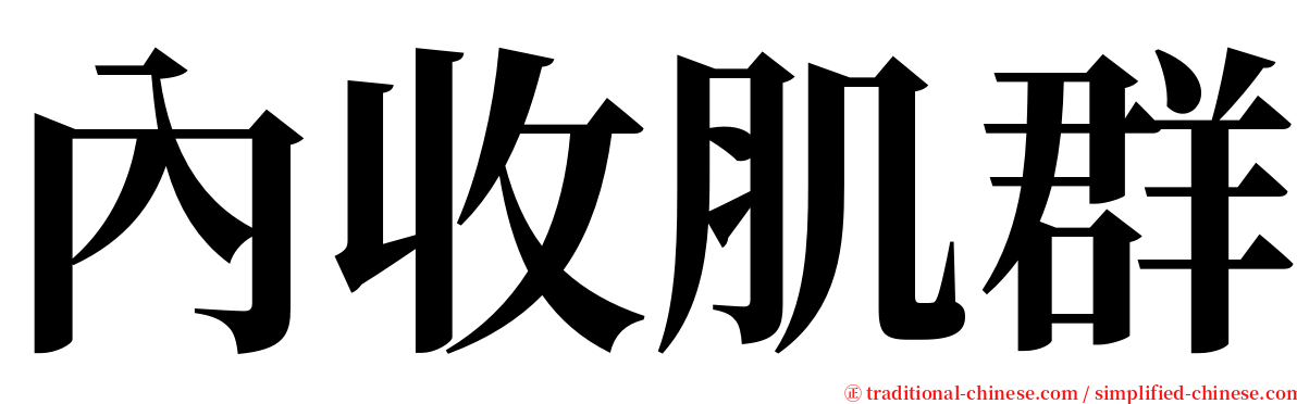 內收肌群 serif font