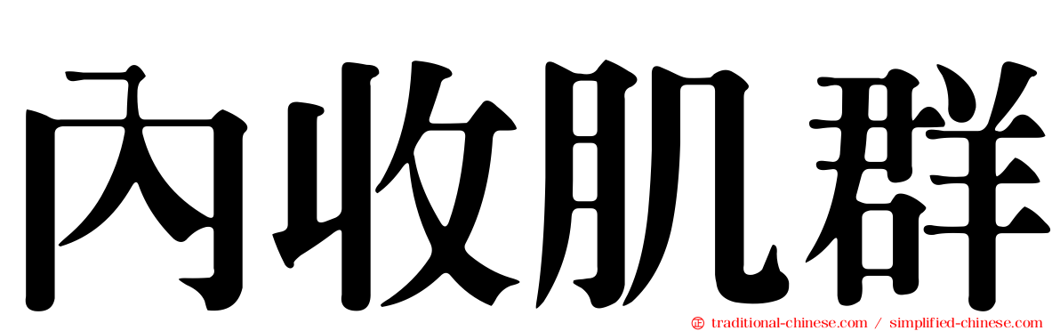 內收肌群