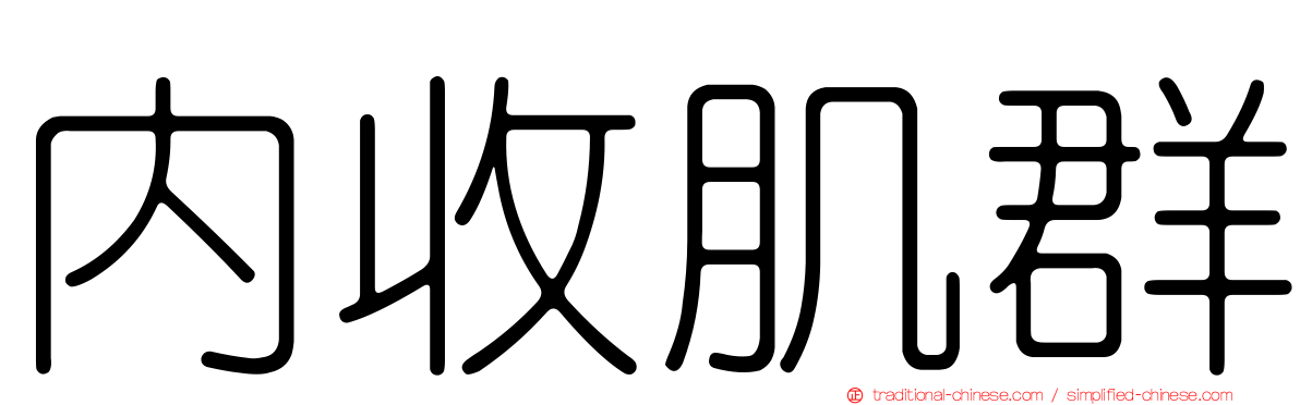 內收肌群