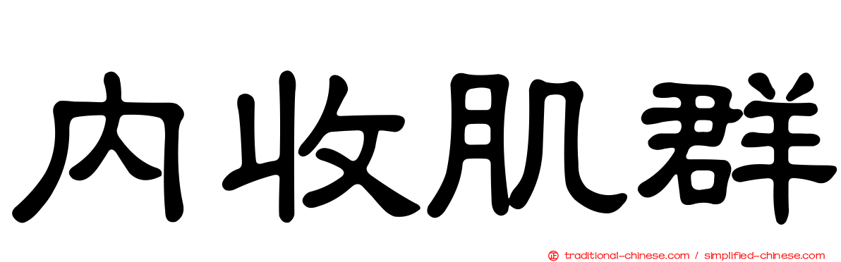 內收肌群