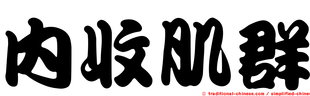 內收肌群