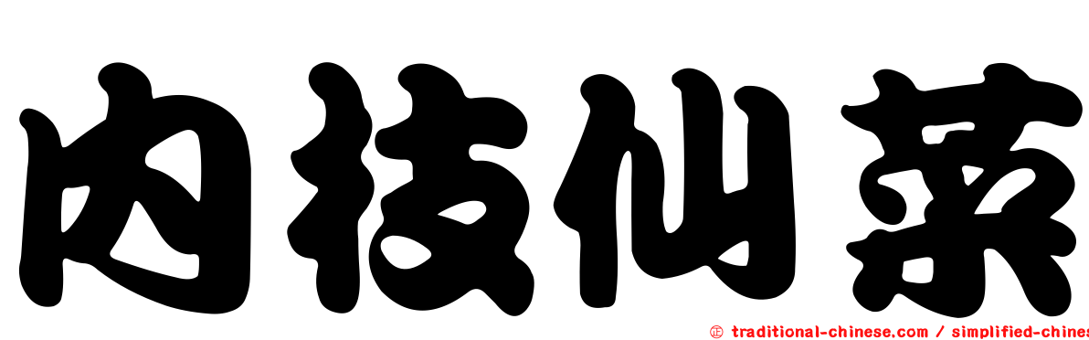 內枝仙菜