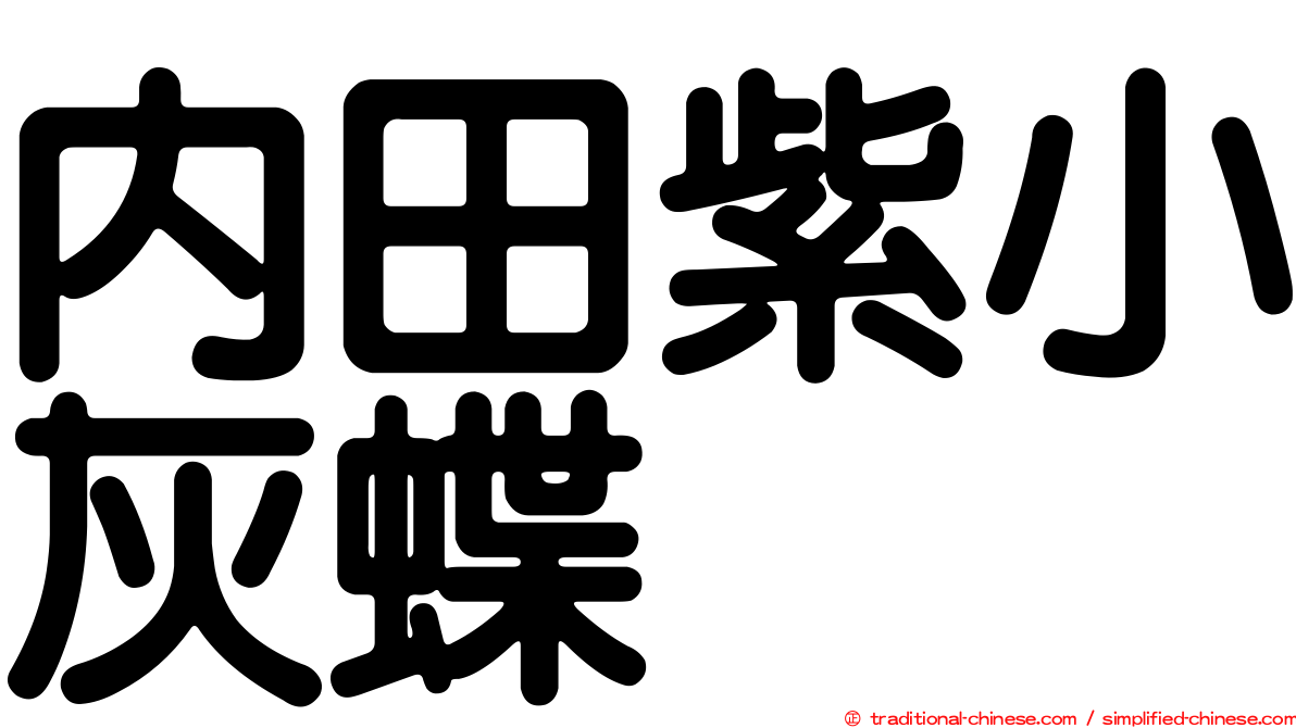 內田紫小灰蝶