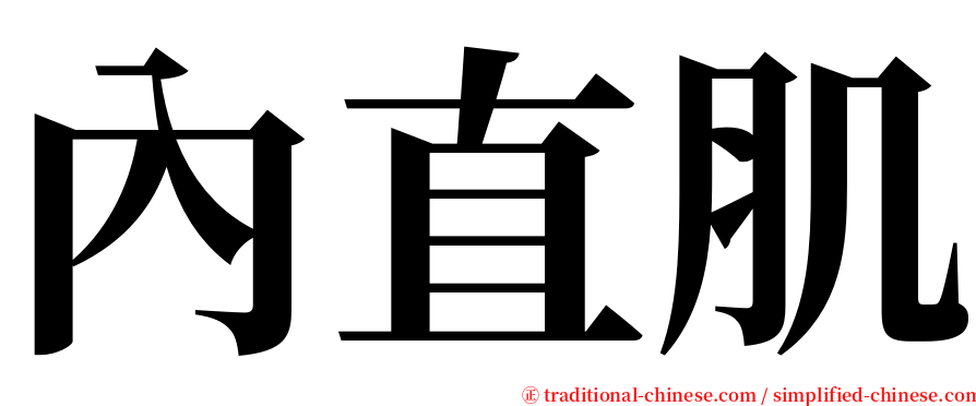內直肌 serif font