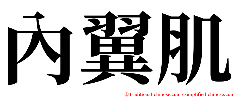 內翼肌 serif font