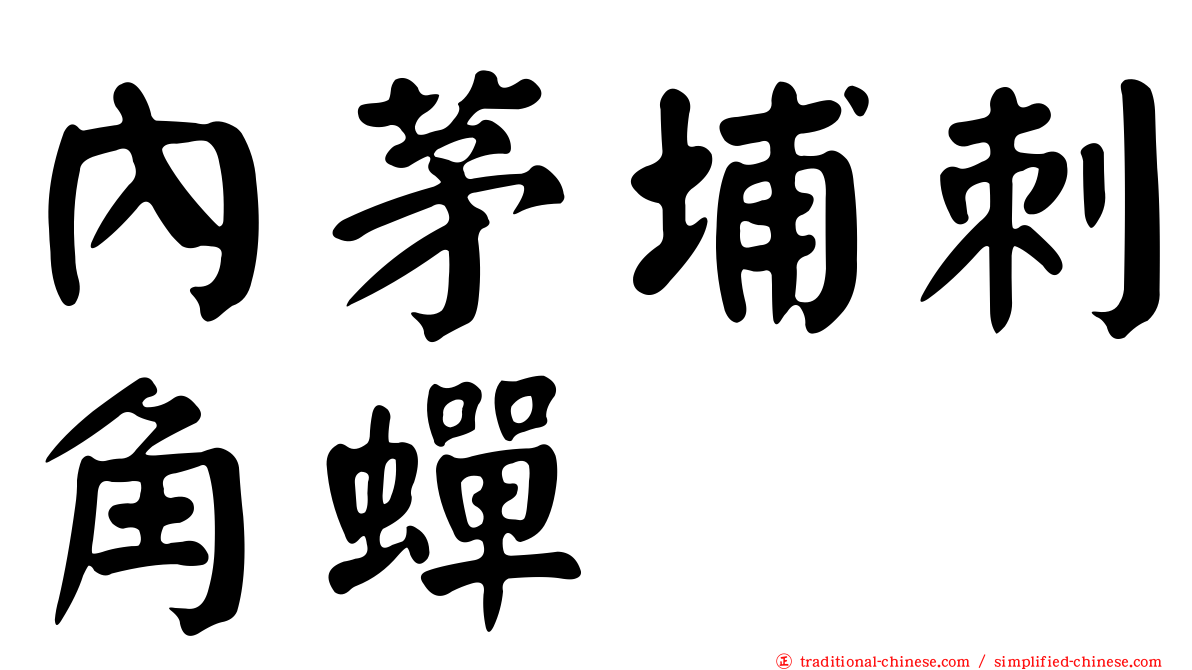 內茅埔刺角蟬