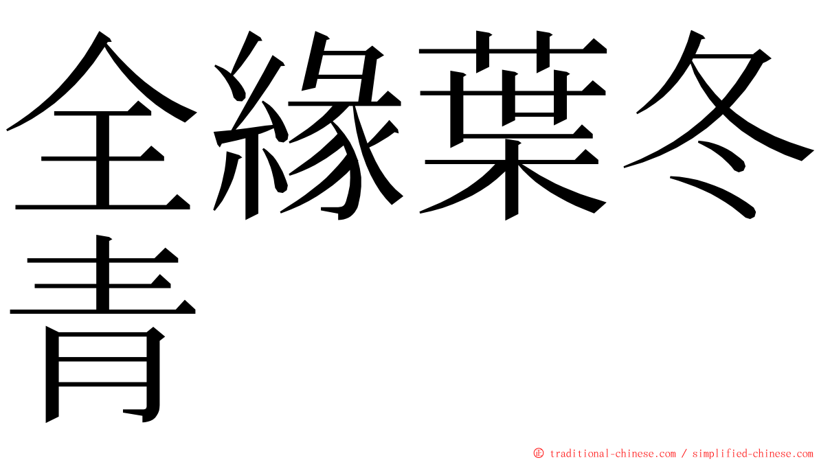 全緣葉冬青 ming font