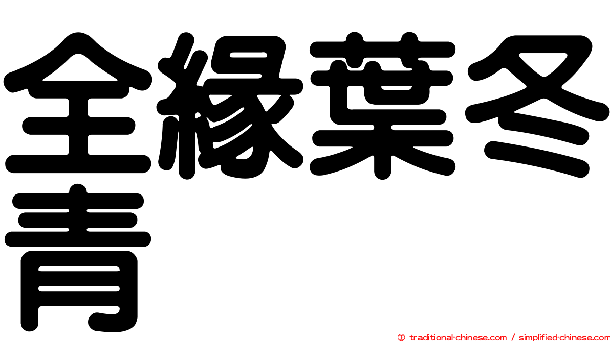全緣葉冬青