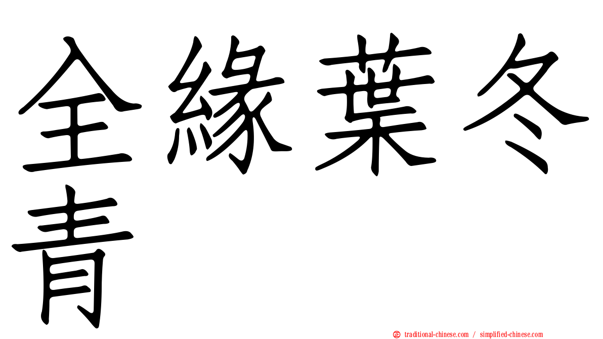 全緣葉冬青