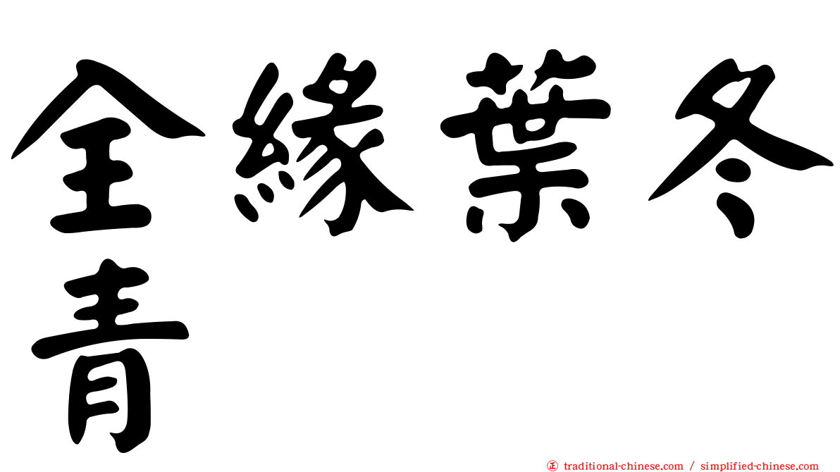 全緣葉冬青