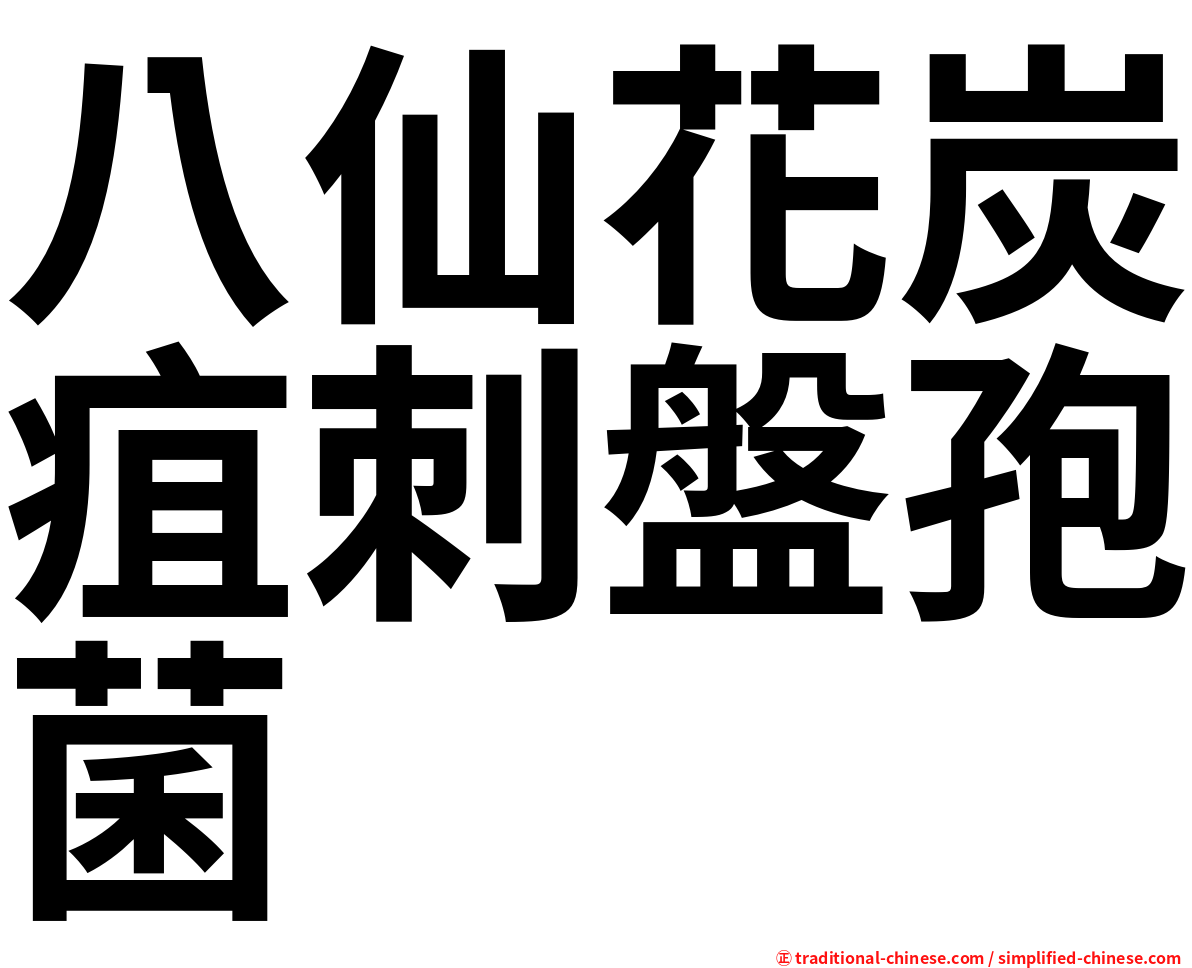 八仙花炭疽刺盤孢菌