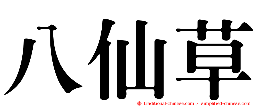 八仙草