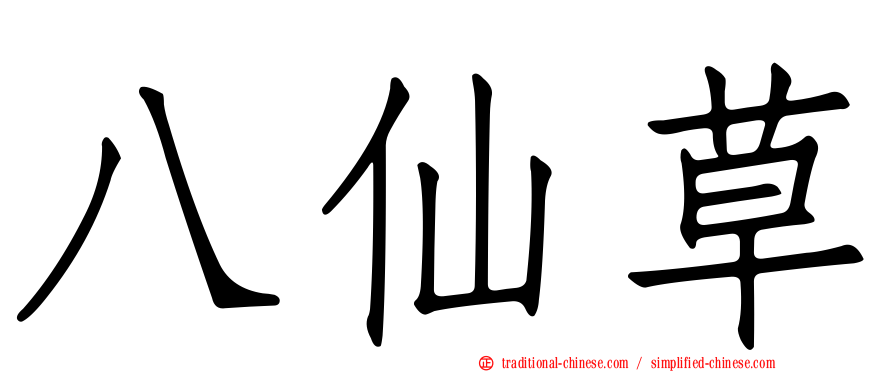 八仙草