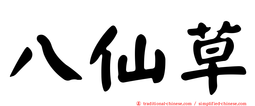 八仙草
