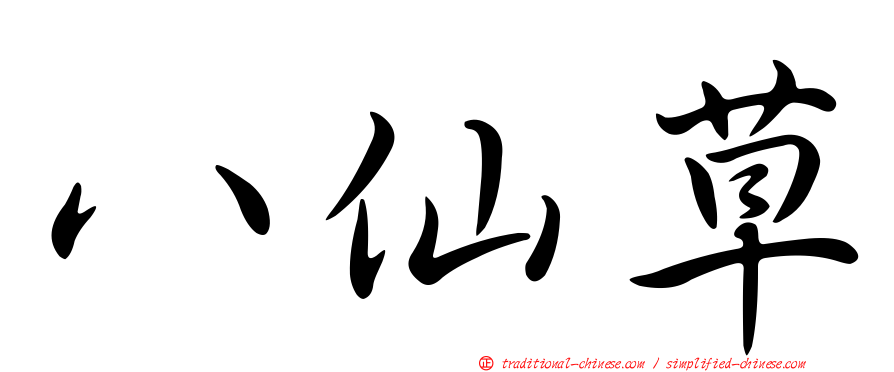 八仙草
