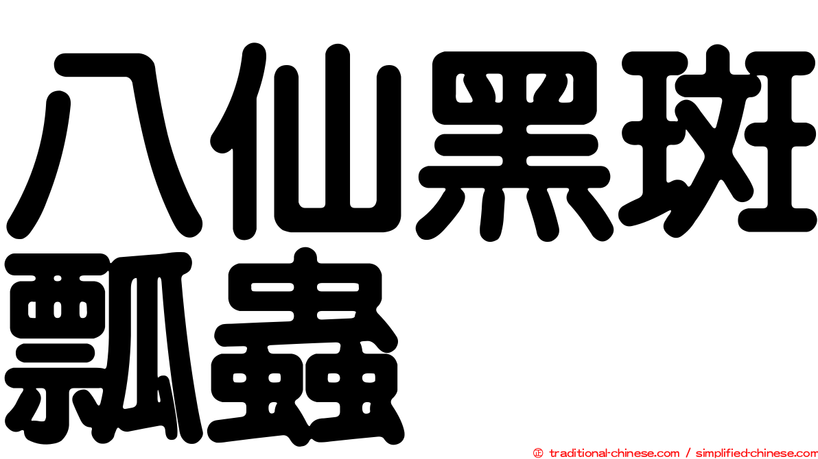 八仙黑斑瓢蟲