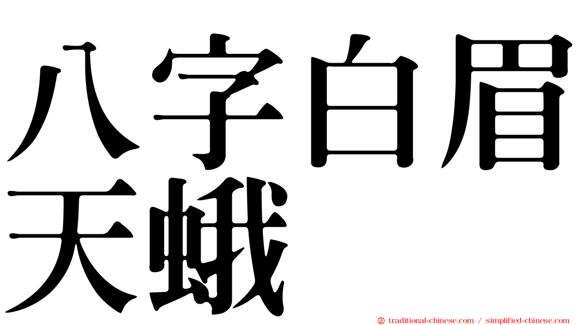 八字白眉天蛾