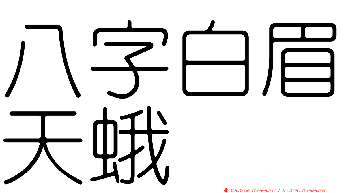 八字白眉天蛾