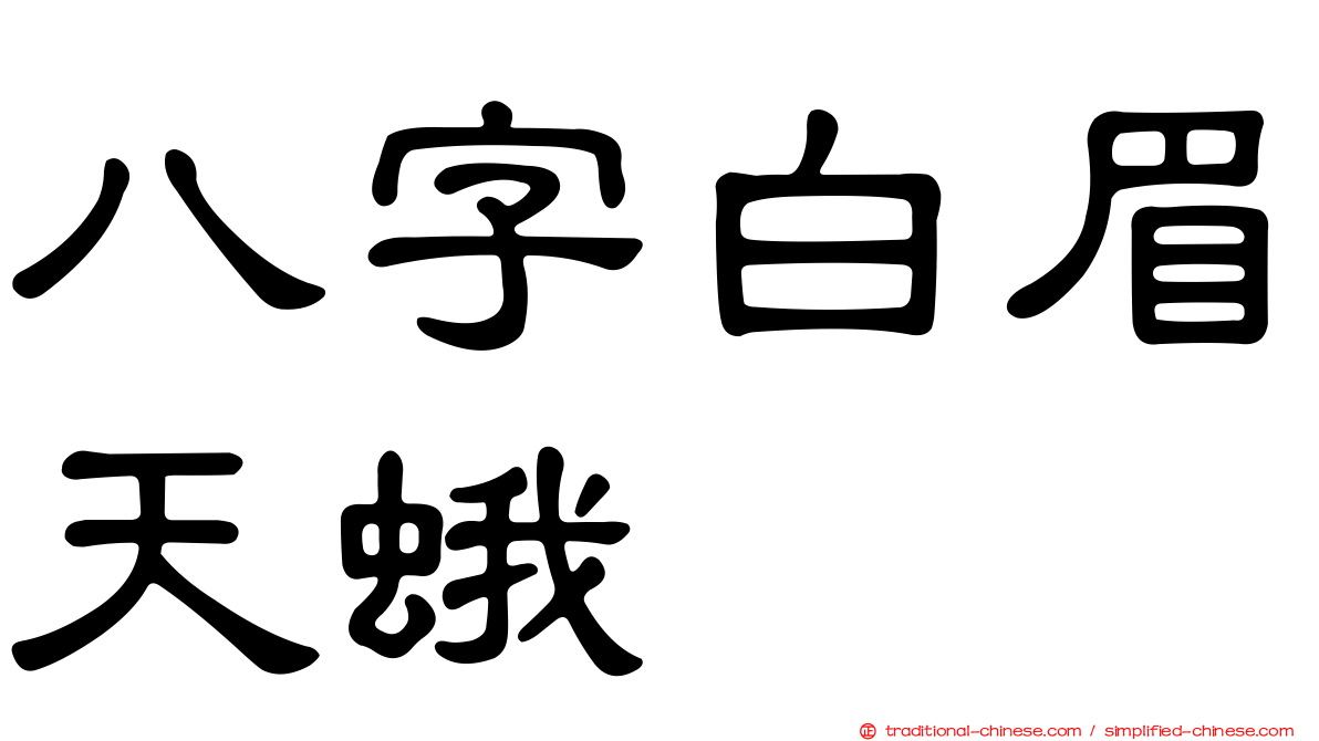八字白眉天蛾