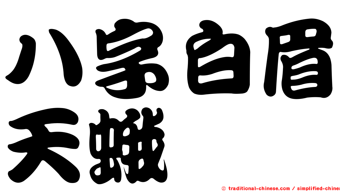 八字白眉天蛾