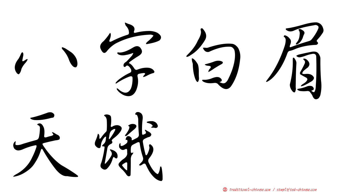 八字白眉天蛾