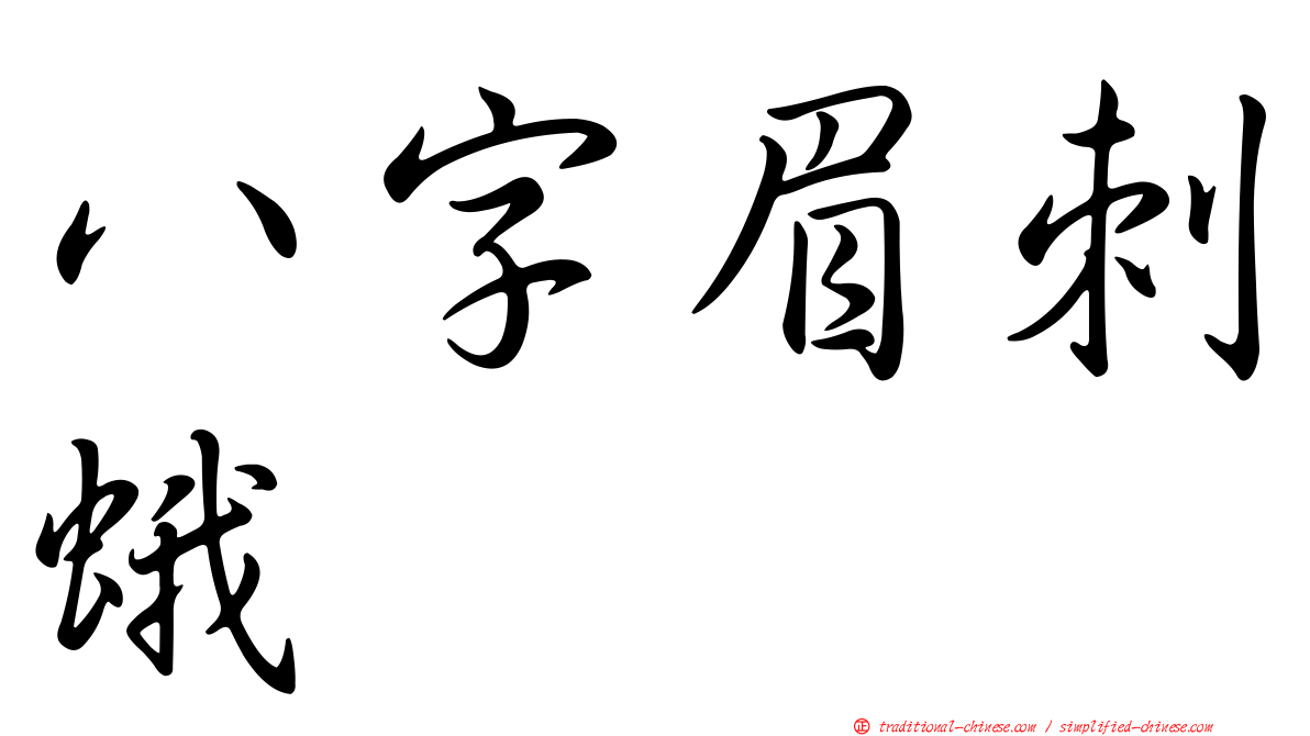 八字眉刺蛾
