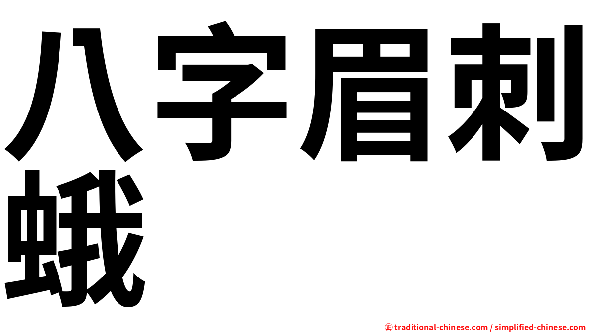 八字眉刺蛾