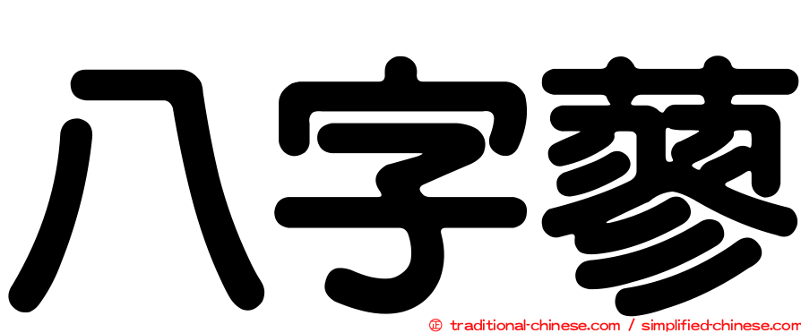 八字蓼