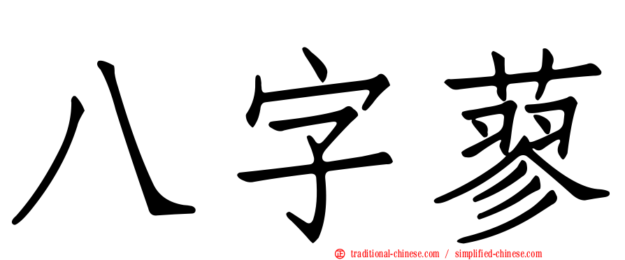 八字蓼