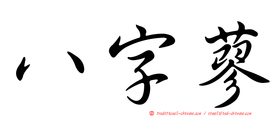 八字蓼