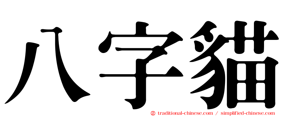 八字貓