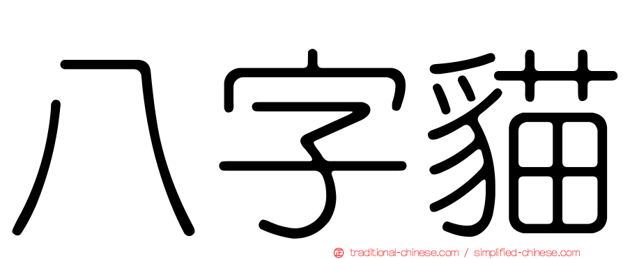 八字貓