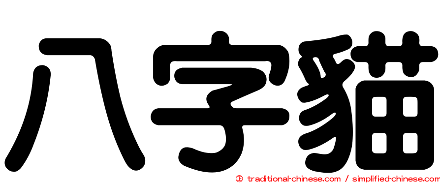 八字貓