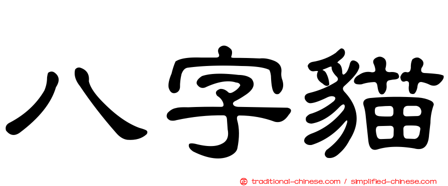 八字貓