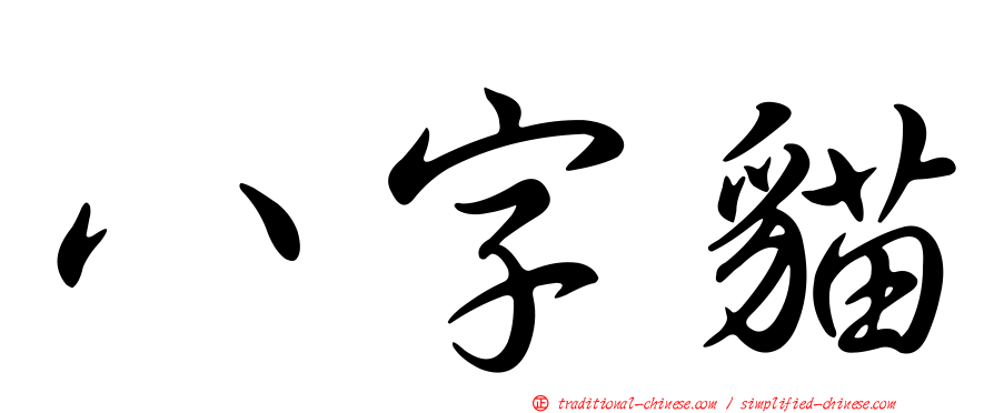 八字貓