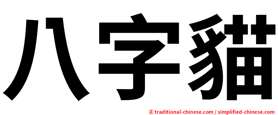 八字貓