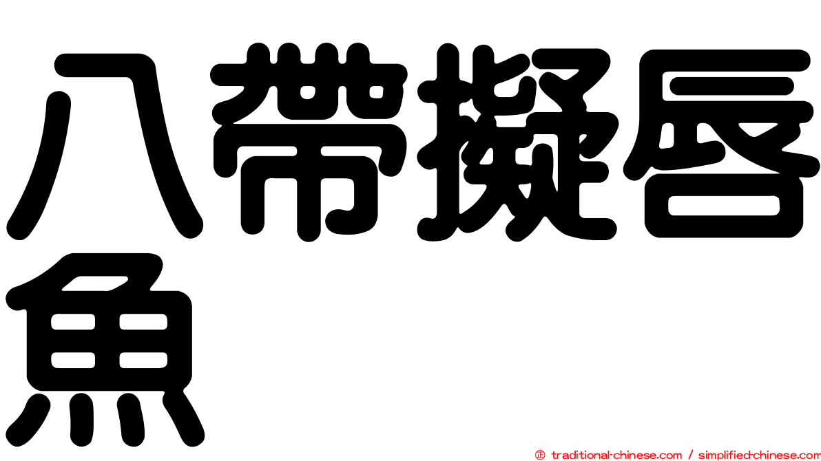 八帶擬唇魚