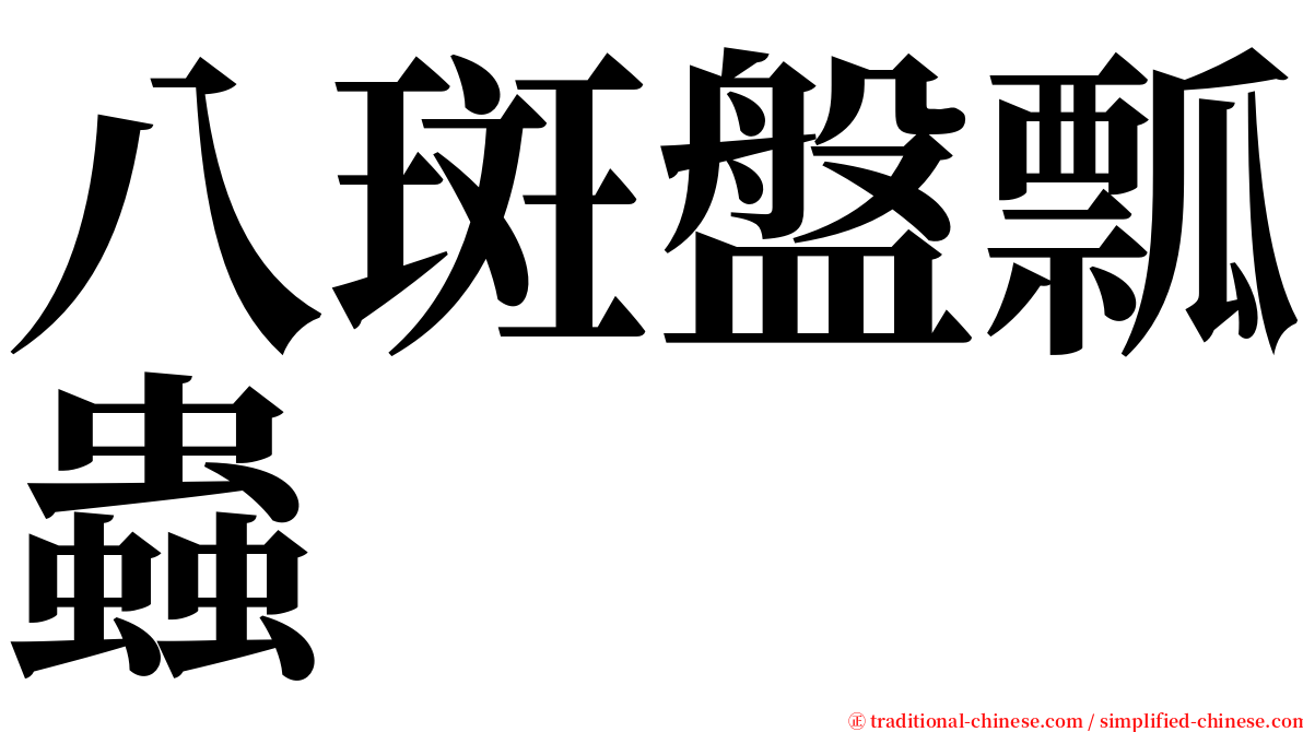 八斑盤瓢蟲 serif font