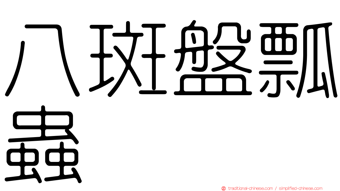八斑盤瓢蟲