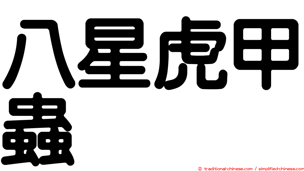 八星虎甲蟲