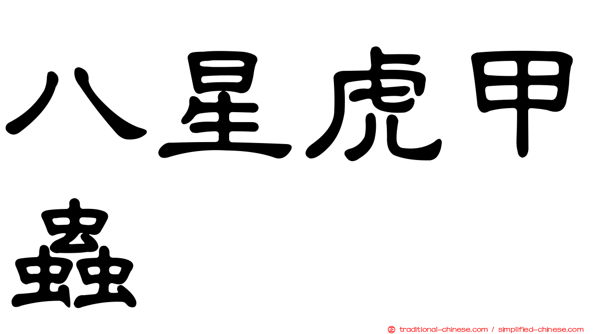 八星虎甲蟲