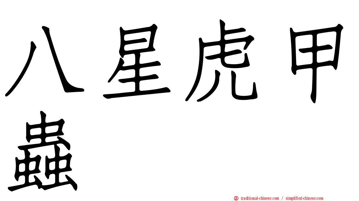八星虎甲蟲