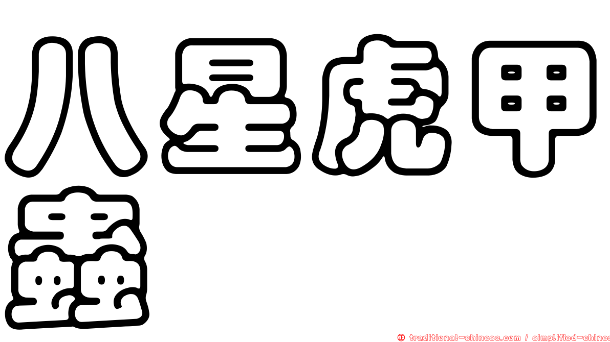 八星虎甲蟲