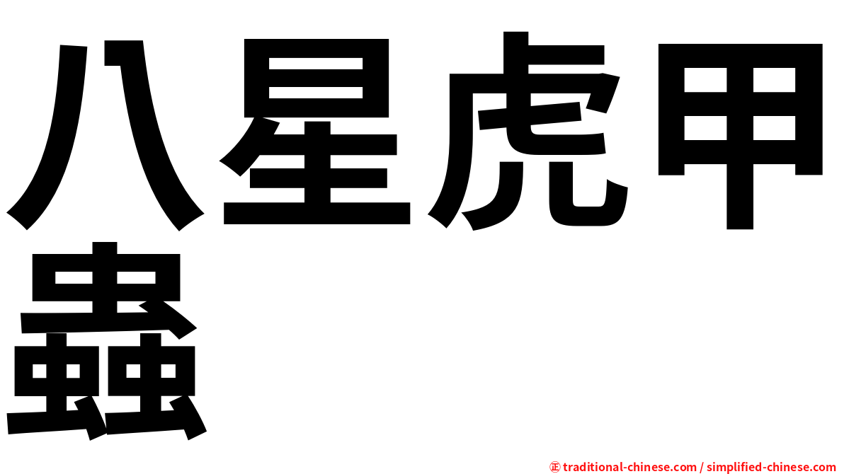 八星虎甲蟲