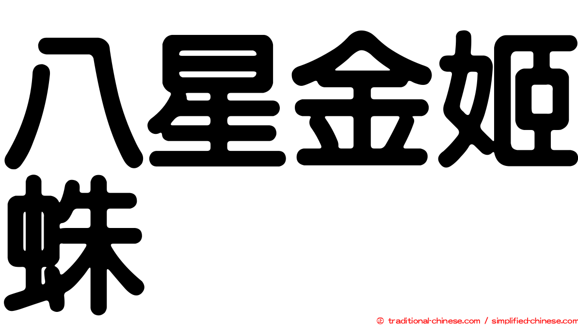 八星金姬蛛