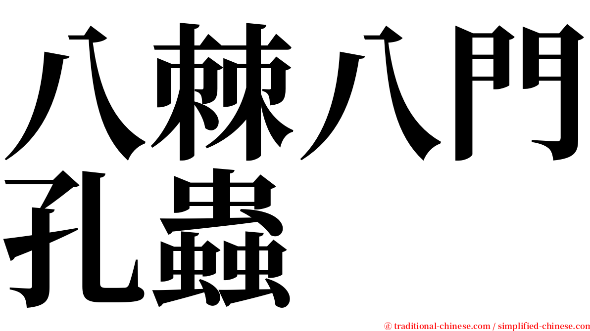 八棘八門孔蟲 serif font